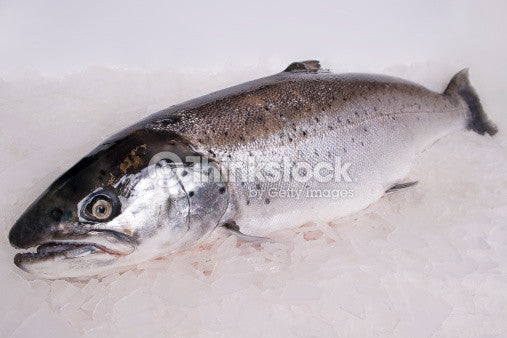 Kapisilik 1.5 kg